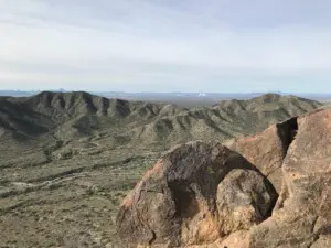 Skyline Regional Park Hiking